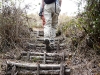 Hike