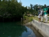 Scouting