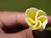 Natural geometry