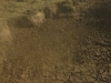 12drycreek