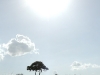 14sun
