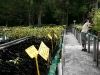 Nursery