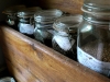 Seeds