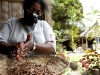 Seed processing