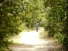 Forest road
