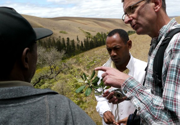 chrischristian Chris Birkinshaw (right) and Christian Camara (center), both of MoBot, inspect flora at the Ankafobe reserve
