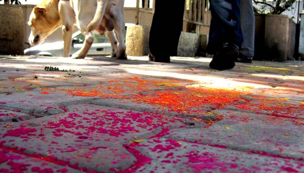 Holi Powder