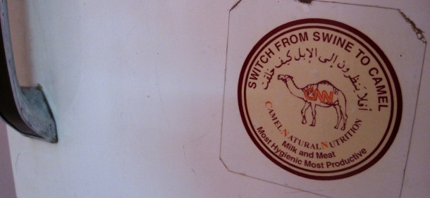 camelmeat