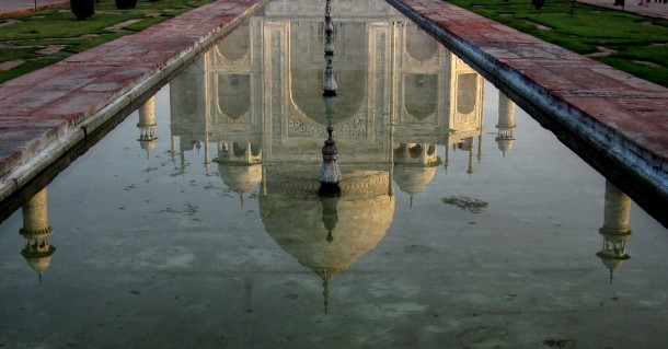 tajreflect