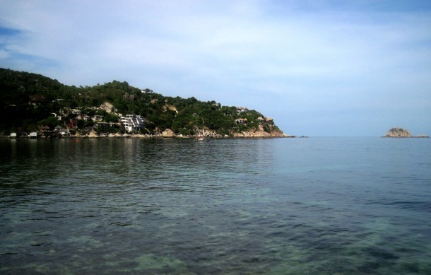 sharkbay