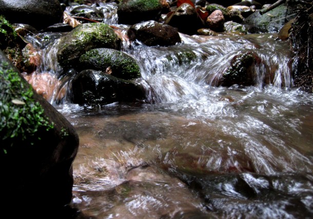 stream
