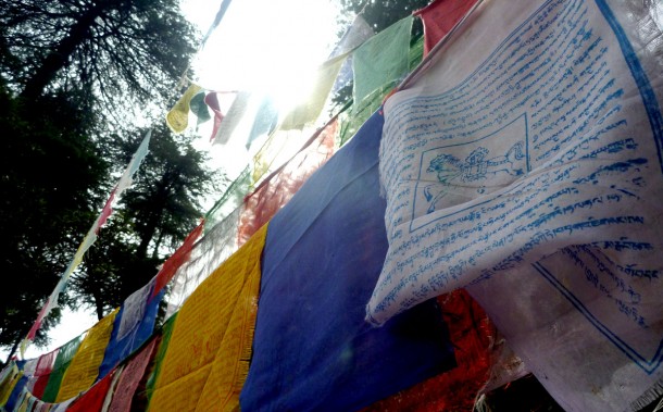 flags
