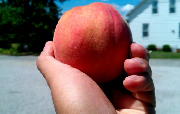 peach