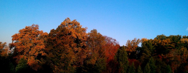 fall2
