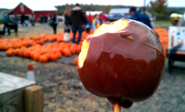 toffeeapple