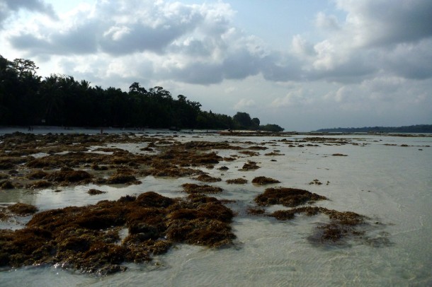 tideflats