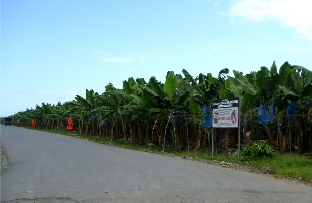 bananachemicals